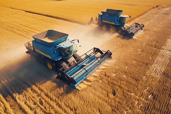 grains